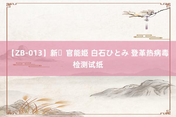【ZB-013】新・官能姫 白石ひとみ 登革热病毒检测试纸