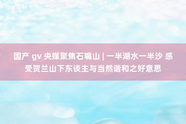 国产 gv 央媒聚焦石嘴山 | 一半湖水一半沙 感受贺兰山下东谈主与当然谐和之好意思