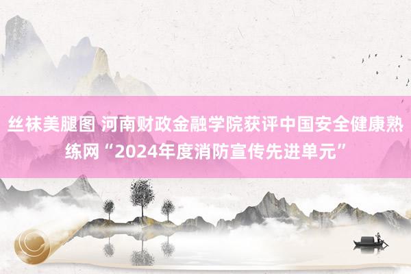 丝袜美腿图 河南财政金融学院获评中国安全健康熟练网“2024年度消防宣传先进单元”