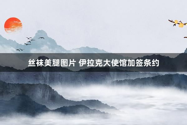 丝袜美腿图片 伊拉克大使馆加签条约