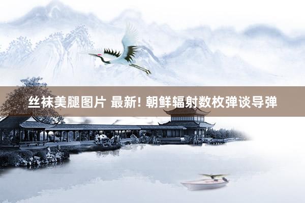 丝袜美腿图片 最新! 朝鲜辐射数枚弹谈导弹