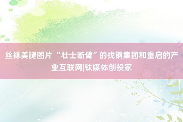 丝袜美腿图片 “壮士断臂”的找钢集团和重启的产业互联网|钛媒体创投家
