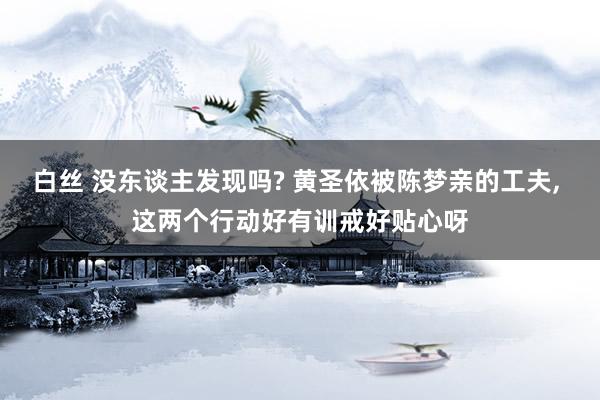 白丝 没东谈主发现吗? 黄圣依被陈梦亲的工夫, 这两个行动好有训戒好贴心呀